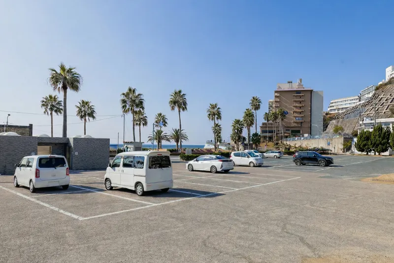 ヤシの木が立ち並ぶ、海辺の広々とした屋外無料駐車場。