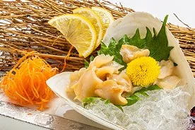 敷き詰められた氷の上に、大きな白い貝殻を器として盛り付けられた白ミル貝のお造り。