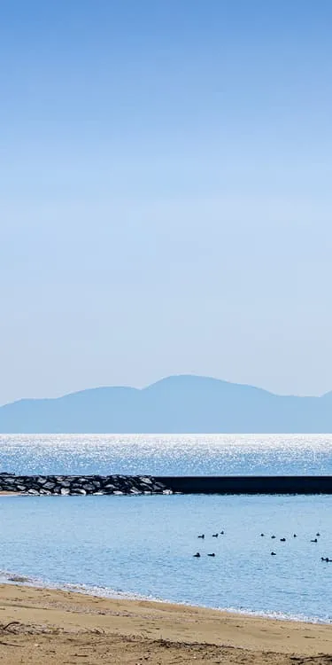 太陽の光を反射してキラキラと輝く三河湾と、緩やかなカーブを描く砂浜。