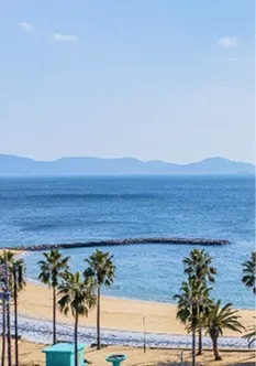 客室から見下ろす、晴れやかな海の景色。手前にはヤシの木が並ぶ白い砂浜が広がり、穏やかな青い海、遠くには山々のシルエットが続いています。